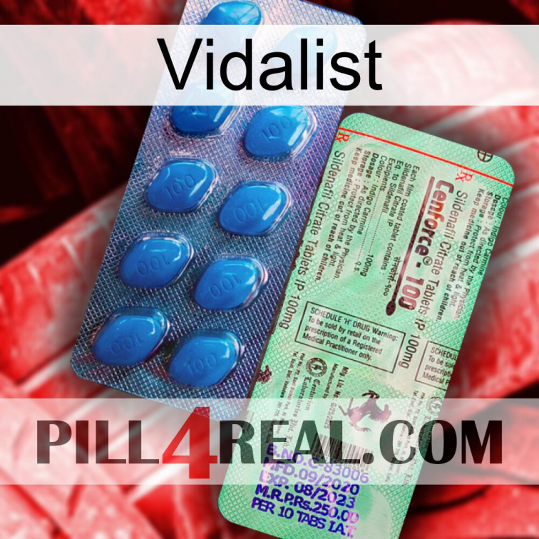 Vidalist new02